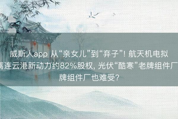 威斯人app 从“亲女儿”到“弃子”! 航天机电拟清仓剥离连云港新动力约82%股权, 光伏“酷寒”老牌组件厂也难受?