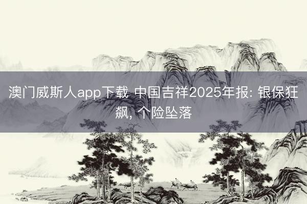 澳门威斯人app下载 中国吉祥2025年报: 银保狂飙, 个险坠落